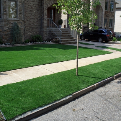 Synthetic Turf Pahrump Nevada Landscape