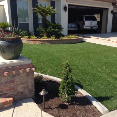 Synthetic Turf Paradise Nevada Landscape