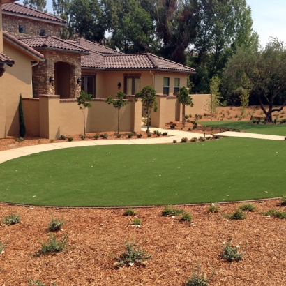 Synthetic Turf Sandy Valley Nevada Landscape