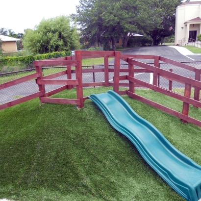 Synthetic Turf Sandy Valley Nevada Landscape