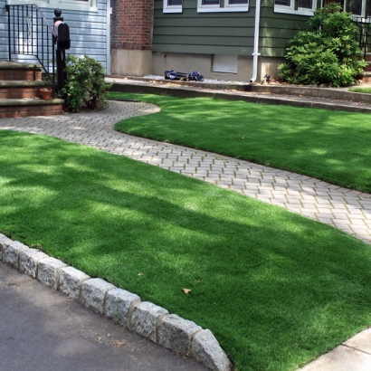 Synthetic Turf Sandy Valley Nevada Landscape