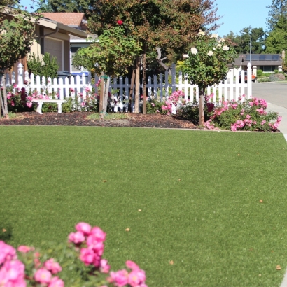 Synthetic Turf Searchlight Nevada Landscape