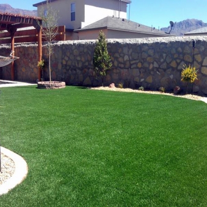 Synthetic Turf Searchlight Nevada Lawn