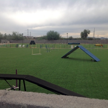 Synthetic Turf Sports Mount Charleston Nevada