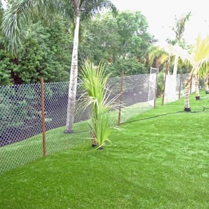 Synthetic Turf Spring Valley Nevada Lawn