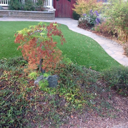 Synthetic Turf Spring Valley Nevada Lawn