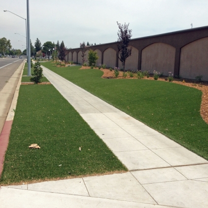 Synthetic Turf Spring Valley Nevada Landscape
