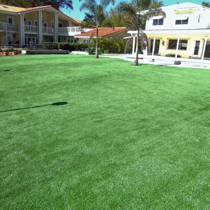 Synthetic Turf Sunrise Manor Nevada Lawn