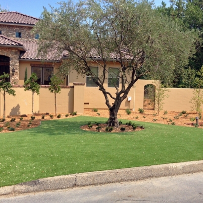 Synthetic Turf Sunrise Manor Nevada Landscape