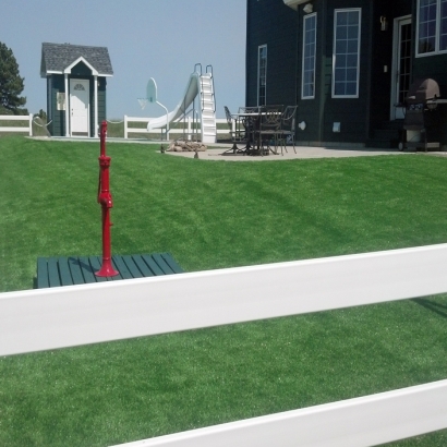 Synthetic Turf Sunrise Manor Nevada Landscape