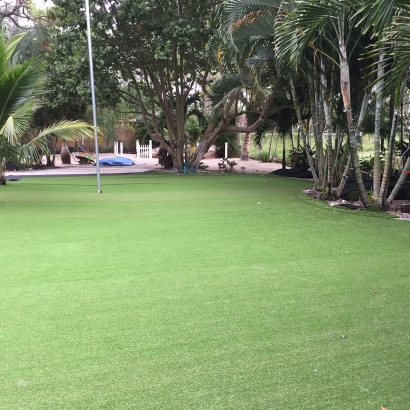Synthetic Turf Supplier Austin, Nevada Landscaping Business, Commercial Landscape