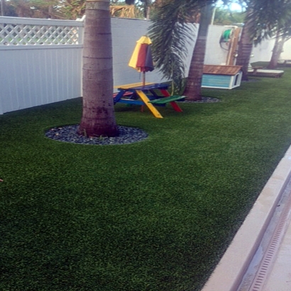 Synthetic Turf Whitney Nevada Landscape