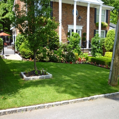 Synthetic Turf Whitney Nevada Lawn