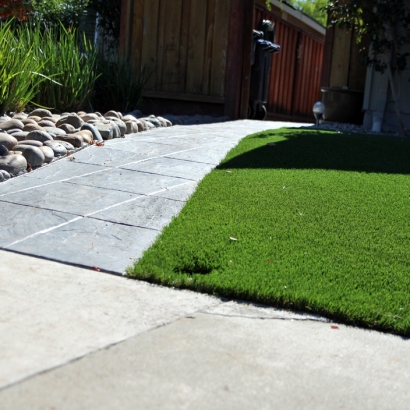 Synthetic Turf Winchester Nevada Landscape