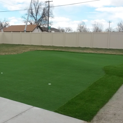 Turf Grass Laughlin, Nevada Indoor Putting Green, Backyard Ideas