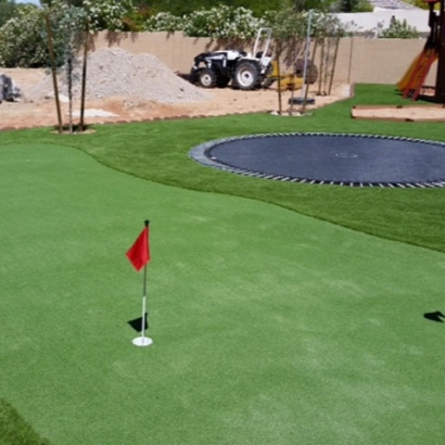 Turf Grass Silver Peak, Nevada Putting Green Grass, Backyards