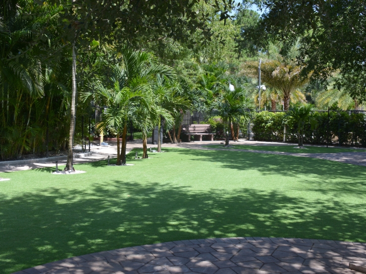 Artificial Grass Beatty, Nevada Rooftop, Commercial Landscape