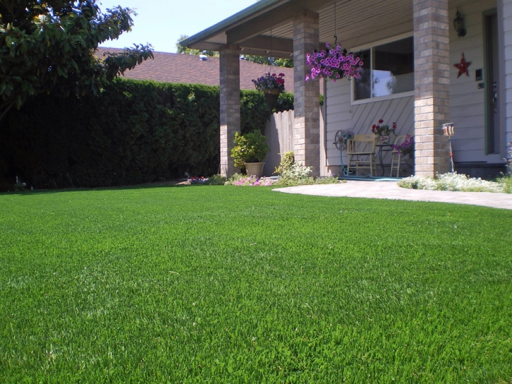 Artificial Grass Blue Diamond Nevada Landscape