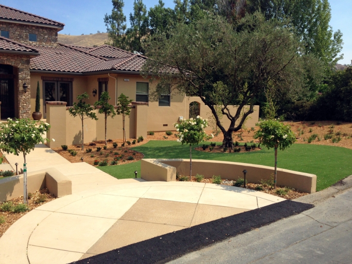 Artificial Grass Blue Diamond Nevada Landscape