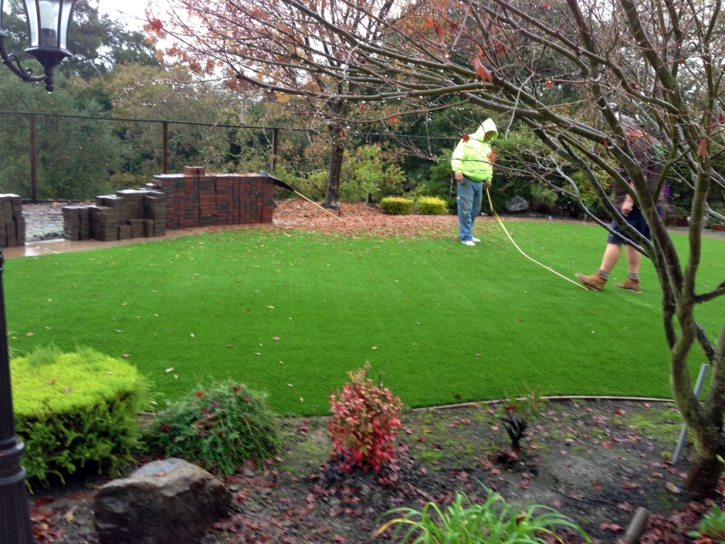Artificial Grass Boulder City Nevada Lawn