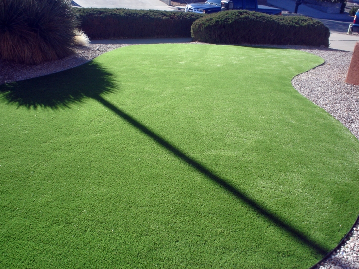 Artificial Grass Cal-Nev-Ari Nevada Landscape