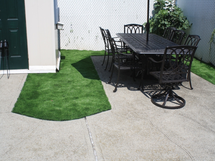Artificial Grass Cal-Nev-Ari Nevada Landscape