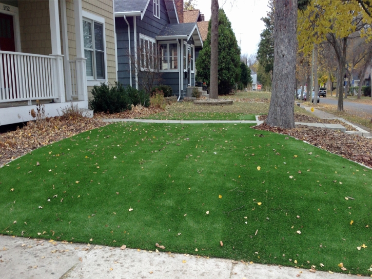 Artificial Grass Enterprise Nevada Landscape