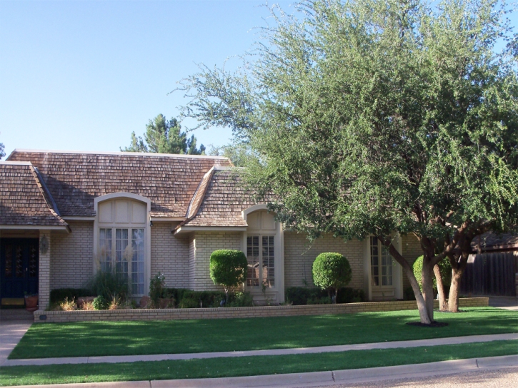 Artificial Grass Goodsprings Nevada Landscape