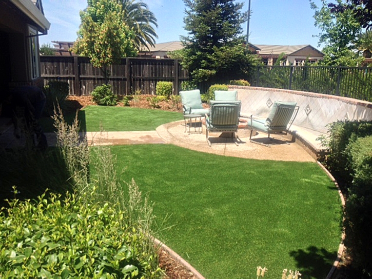 Artificial Grass Goodsprings Nevada Landscape