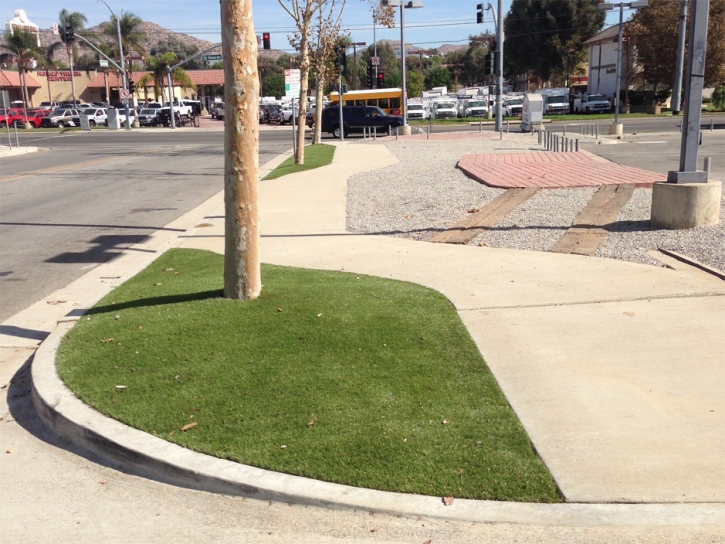 Artificial Grass Goodsprings Nevada Landscape