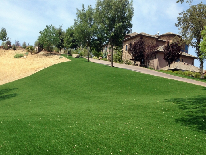 Artificial Grass Goodsprings Nevada Lawn