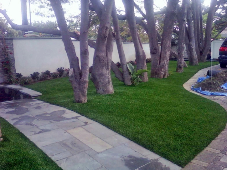 Artificial Grass Henderson Nevada Landscape