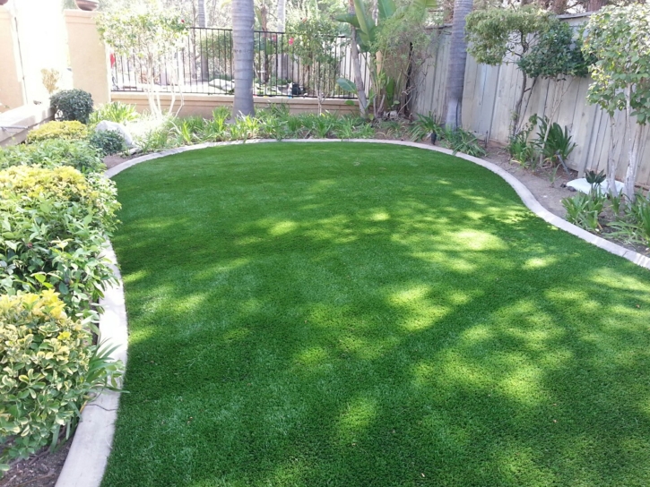 Artificial Grass Hiko, Nevada Design Ideas