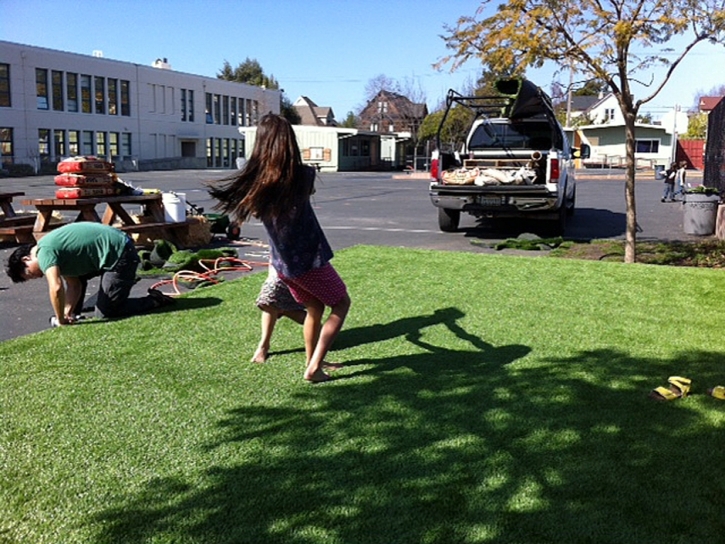Artificial Grass Indian Springs Nevada Lawn