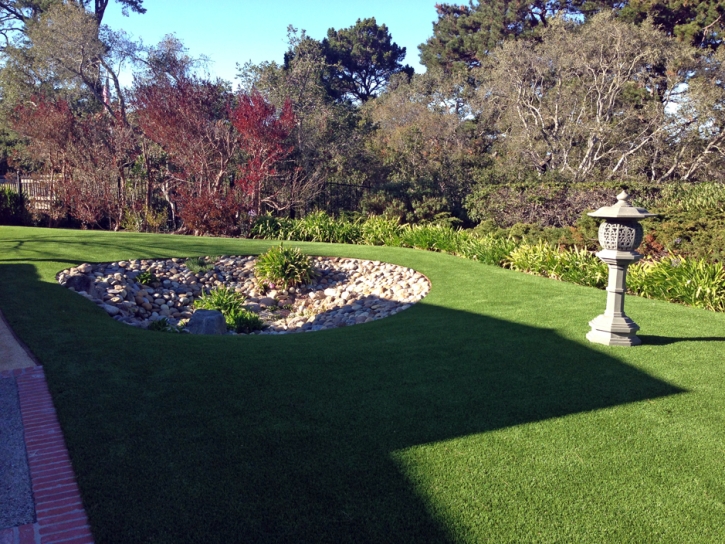 Artificial Grass Indian Springs Nevada Landscape