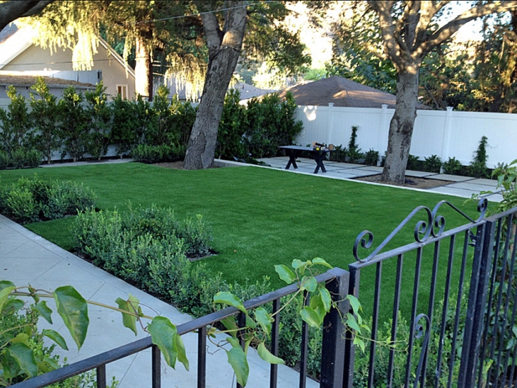 Artificial Grass Indian Springs Nevada Landscape