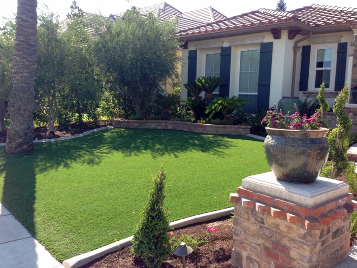 Artificial Grass Moapa Valley Nevada Lawn
