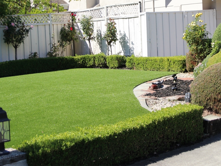 Artificial Grass Moapa Valley Nevada Lawn
