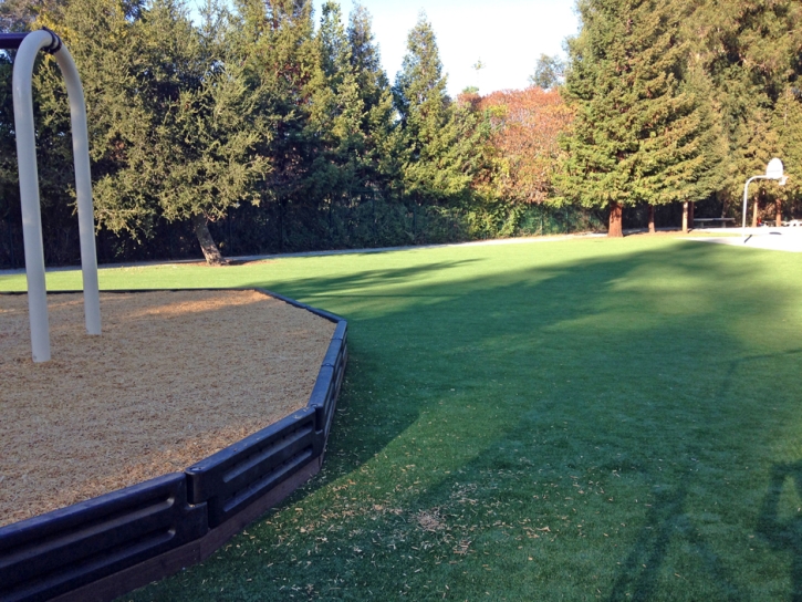 Artificial Grass Mount Charleston Nevada Childcare Facilities