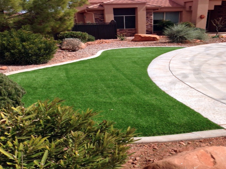 Artificial Grass Mount Charleston Nevada Lawn