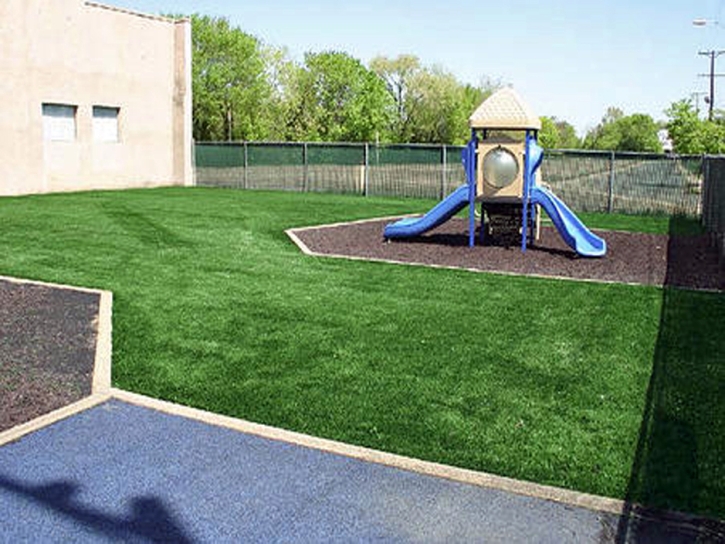 Artificial Grass Mount Charleston Nevada School