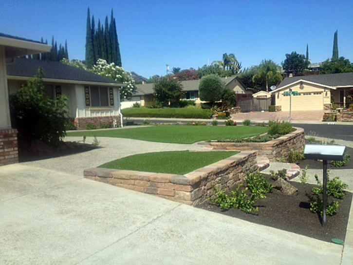 Artificial Grass Mount Charleston Nevada Landscape