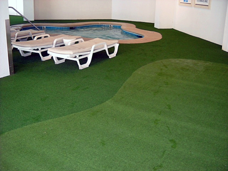 Artificial Grass Nelson Nevada Landscape