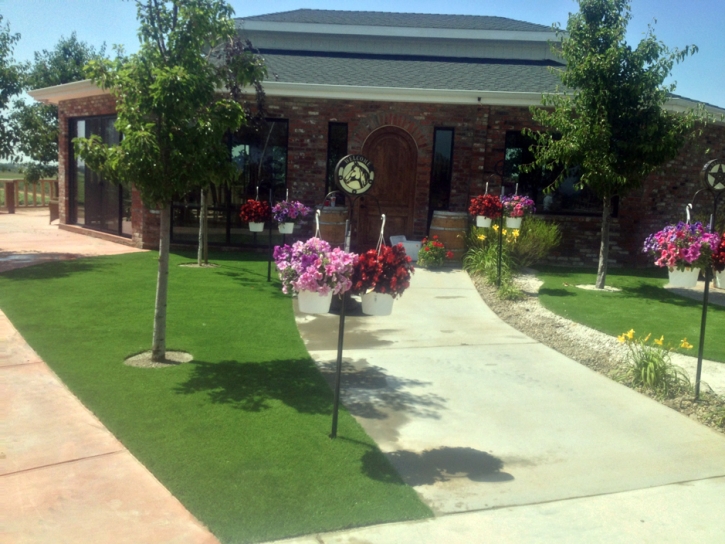 Artificial Grass Nelson Nevada Landscape