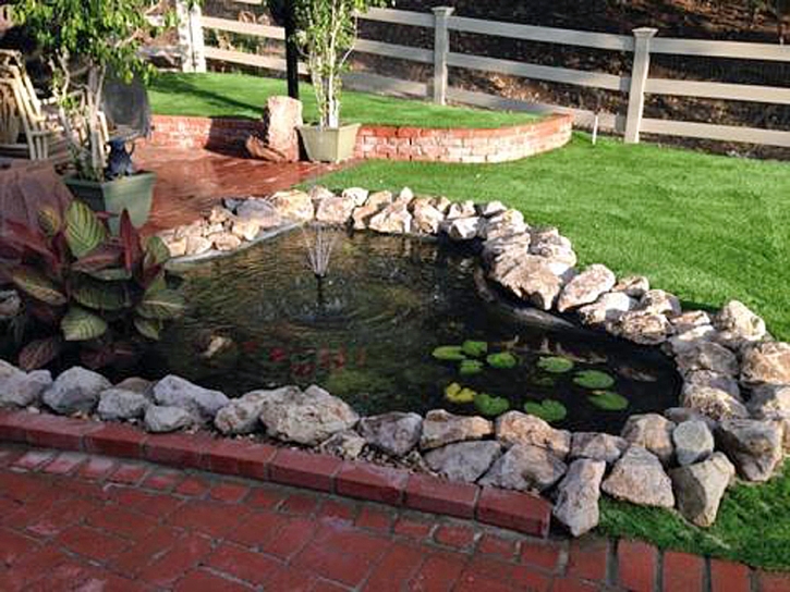 Artificial Grass Nelson Nevada Landscape