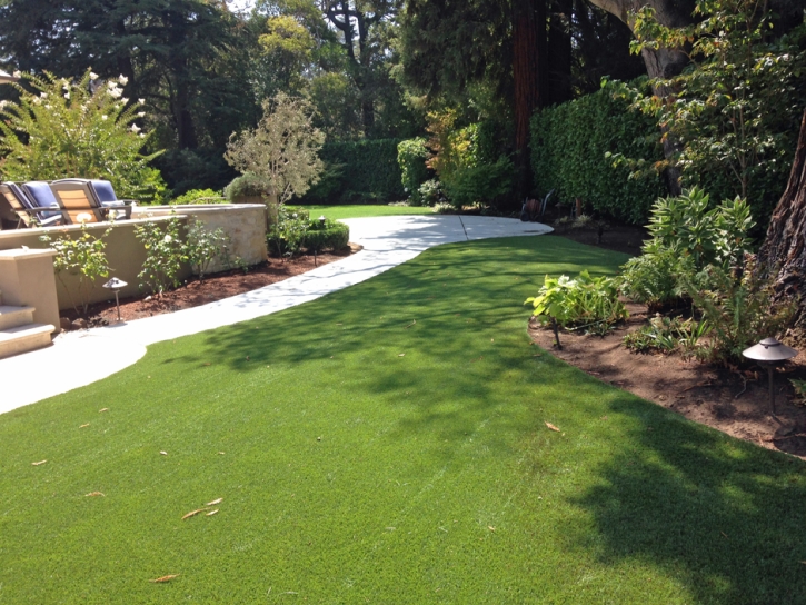 Artificial Grass North Las Vegas Nevada Landscape