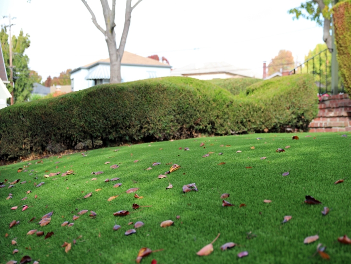 Artificial Grass North Las Vegas Nevada Landscape