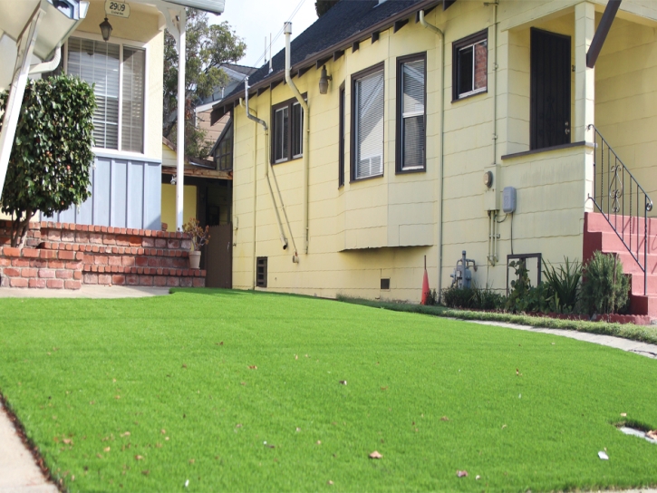 Artificial Grass Paradise Nevada Landscape