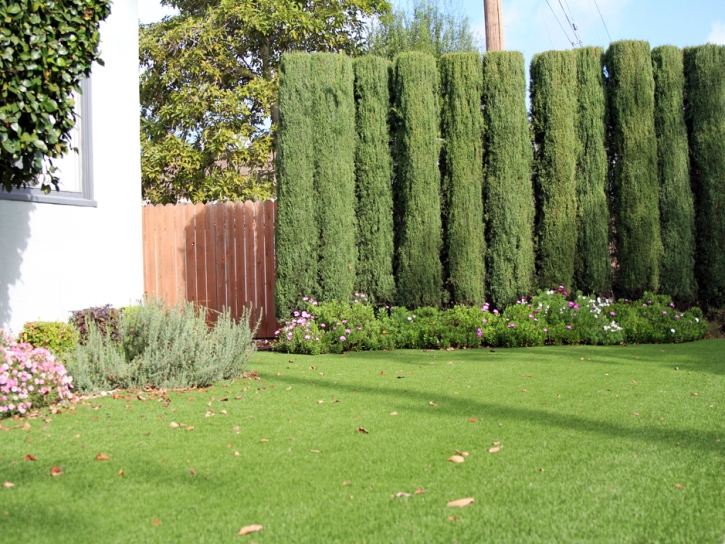 Artificial Grass Paradise Nevada Landscape