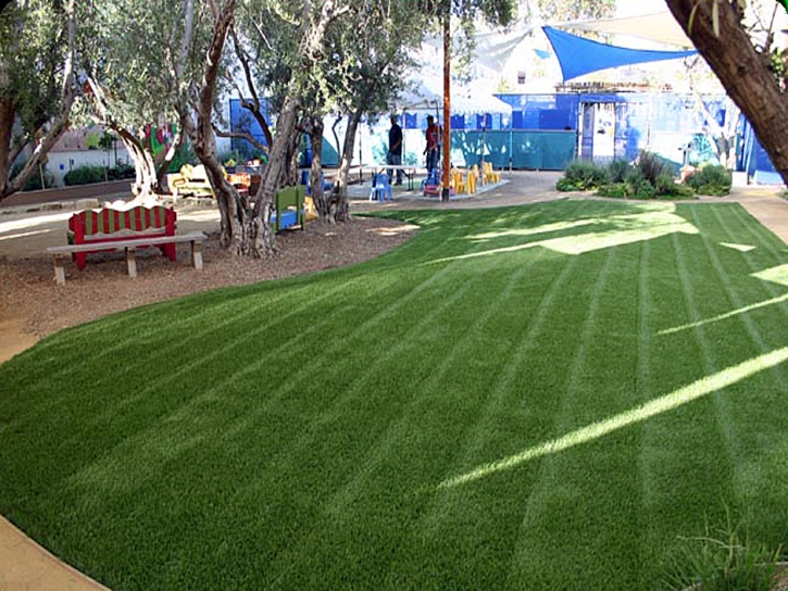 Artificial Grass Paradise Nevada Lawn